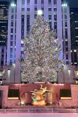 Conheça as árvores de Natal gigantes ao redor do mundo