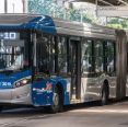 Greve de ônibus em São Paulo: motoristas anunciam paralisação imediata