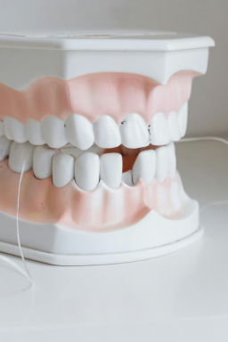 Uso regular de fio dental pode reduzir risco de AVC, mostra estudo