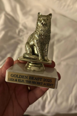 Gata de “O Agente Secreto” ganha prêmio em festival de cinema