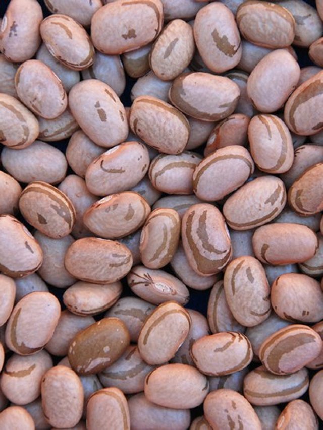 Baixos estoques de feijão acendem alerta para preços em 2026