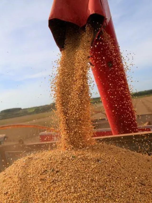 73% das exportações do Brasil para UE estão concentradas em 5 destinos