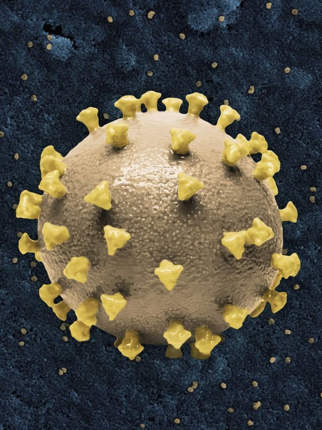 Mpox: o que é mito e o que é verdade, segundo especialistas