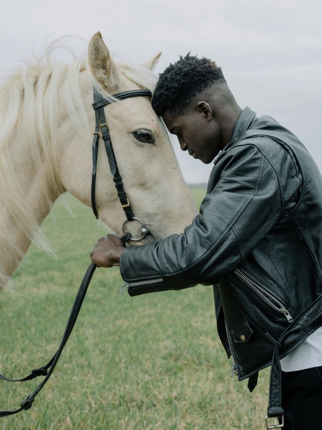Cavalos cheiram “o medo nos humanos”, revela novo estudo científico
