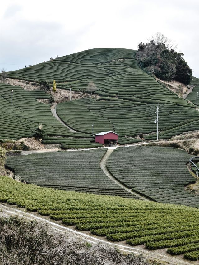 Veja lista de produtos do agro beneficiados por redução de tarifaço