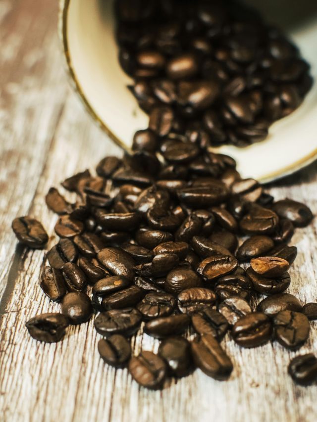 A criação do termo “café especial” e o nascimento de uma nova cultura