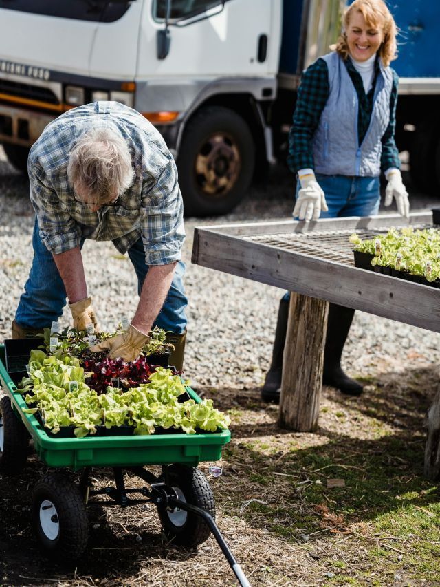 Crise do agro avança para além da porteira