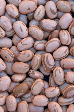 Baixos estoques de feijão acendem alerta para preços em 2026