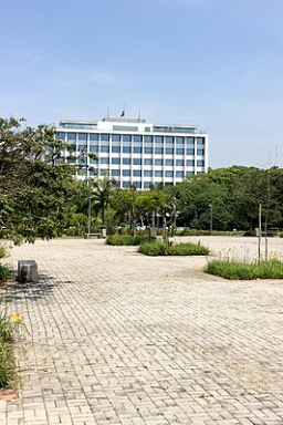 USP fica entre as 100 melhores universidades do mundo em quatro áreas