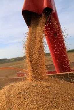 73% das exportações do Brasil para UE estão concentradas em 5 destinos