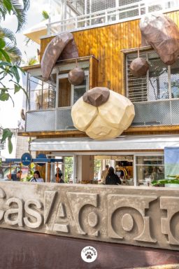 Novo café pet friendly em São Paulo reúne cães e gatos para adoção