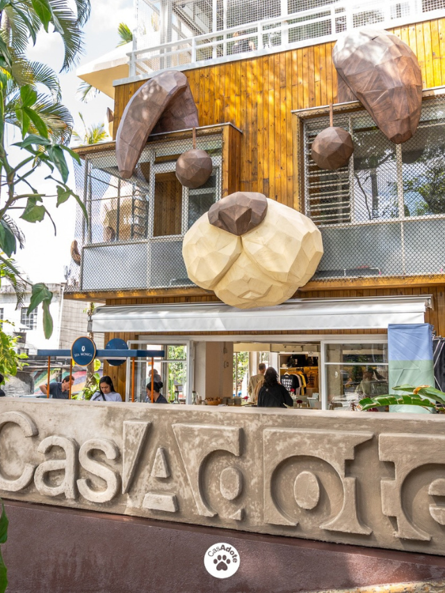 Novo café pet friendly em São Paulo reúne cães e gatos para adoção