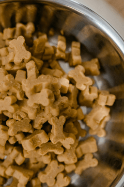 Brasil habilita 40 plantas para exportação de pet food à Costa Rica