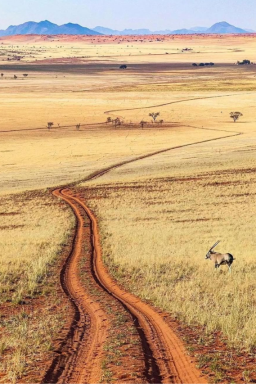 10 destinos de ecoturismo no mundo que unem luxo e preservação