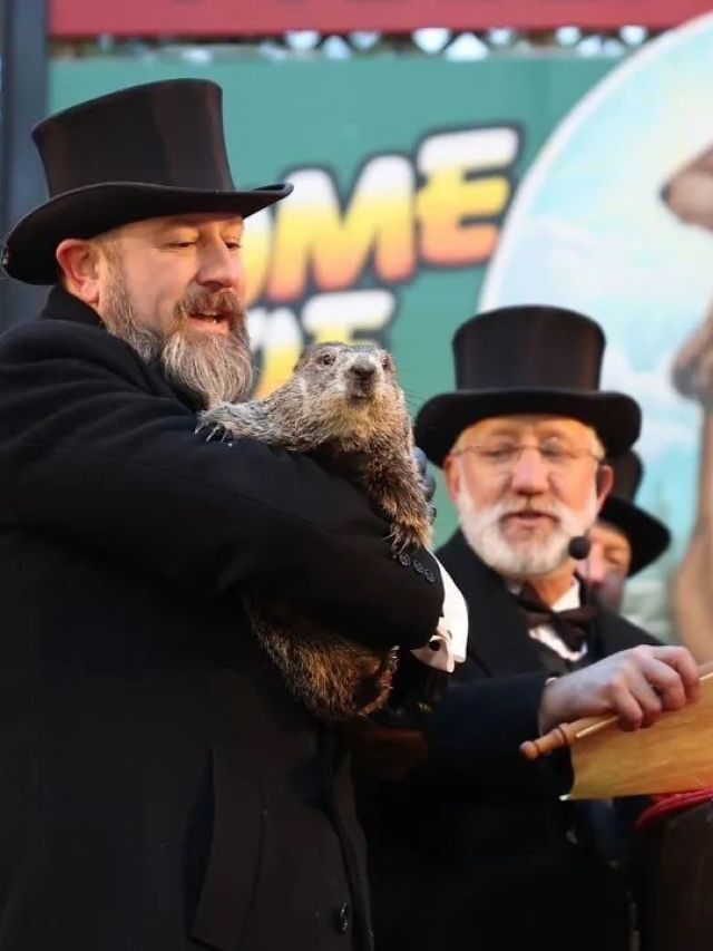Dia da Marmota: Saiba como surgiu tradição que “prevê o clima” dos EUA