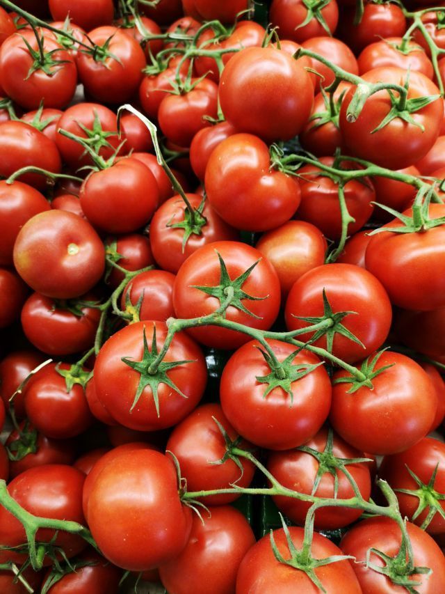 Produção de tomate bate recorde, mas clima desafia produção em 2026