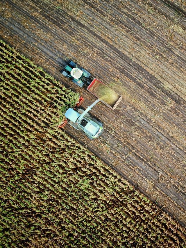 Agronegócio Brasileiro Intensifica Medidas Contra Crescente Risco Climático
