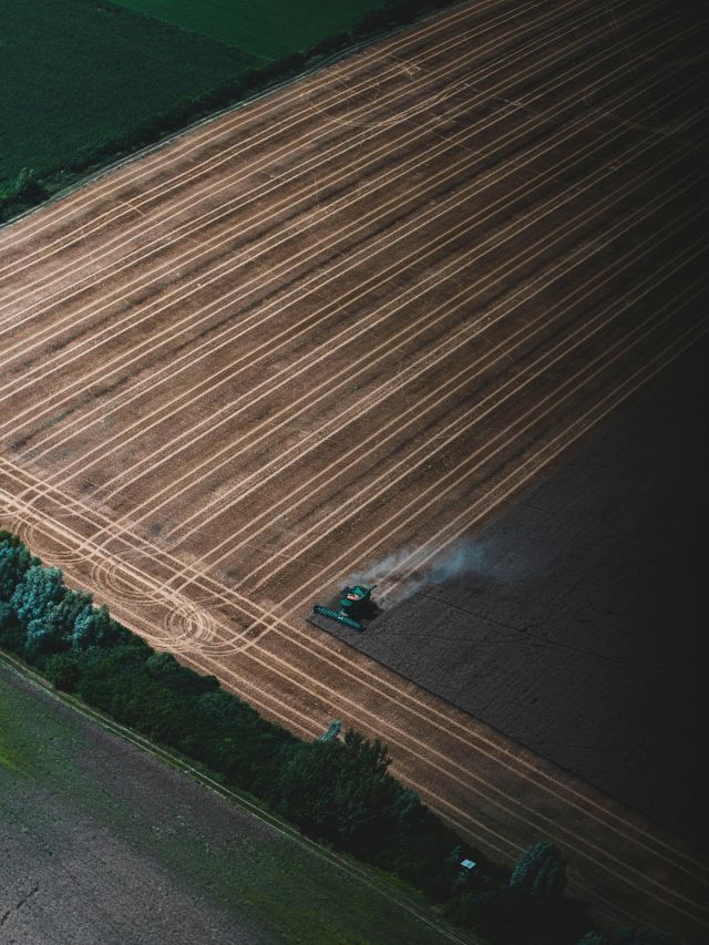 Preço das terras rurais varia de R$ 50 mil a R$ 250 mil por hectare