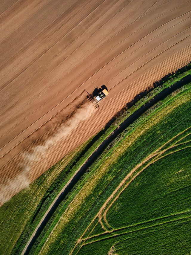 Como o Financiamento da Safra Impulsiona o Agronegócio no Brasil