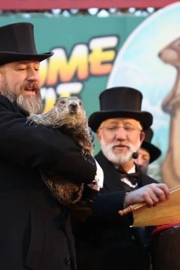Dia da Marmota: Saiba como surgiu tradição que “prevê o clima” dos EUA
