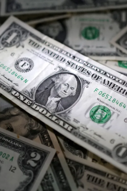 Por que o dólar é importante para o agro brasileiro?