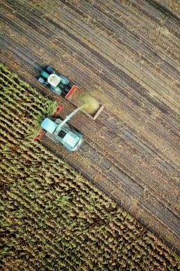 Como o agronegócio enfrenta o risco climático que muda a cada safra
