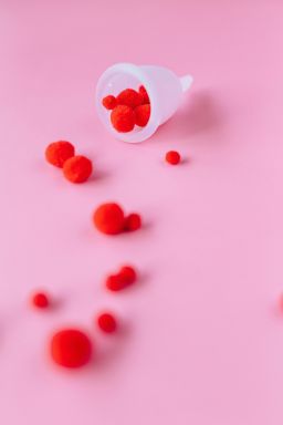 Teste com sangue menstrual pode indicar infecção por HPV