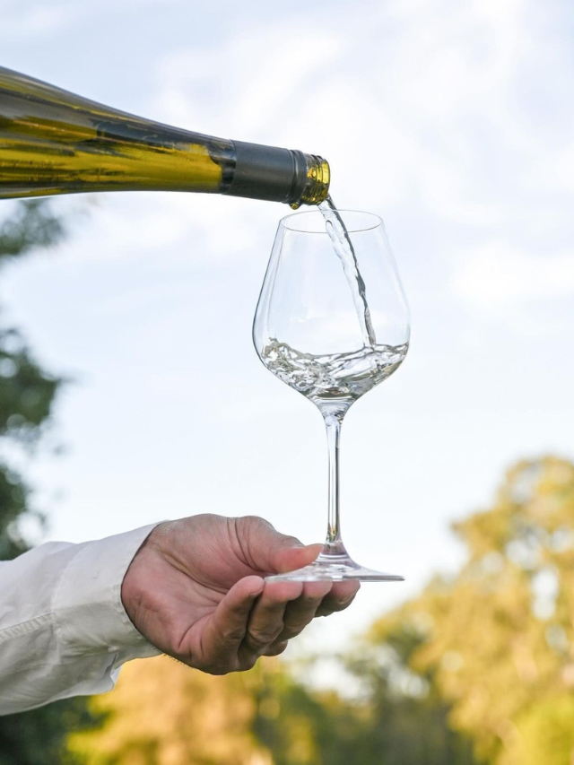 Albariño no Uruguai: onde provar vinhos da uva que conquistou o país