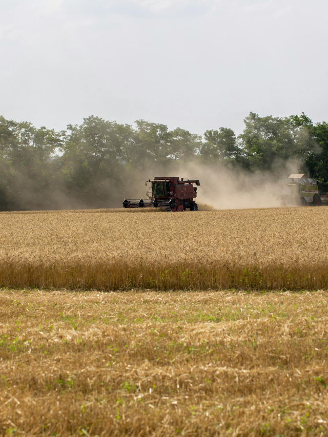 Brasil e Coreia do Sul assinam acordos de cooperação agrícola