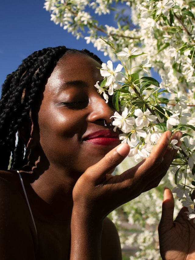 Como os aromas agem no cérebro, segundo a neurociência