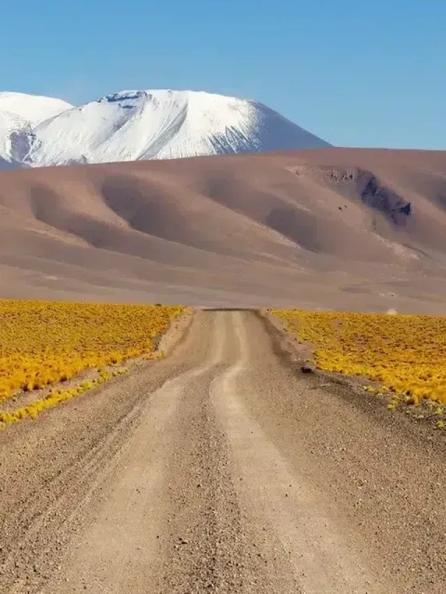 Atacama: o fascínio dos gêiseres e o Vale dos Cactos no deserto