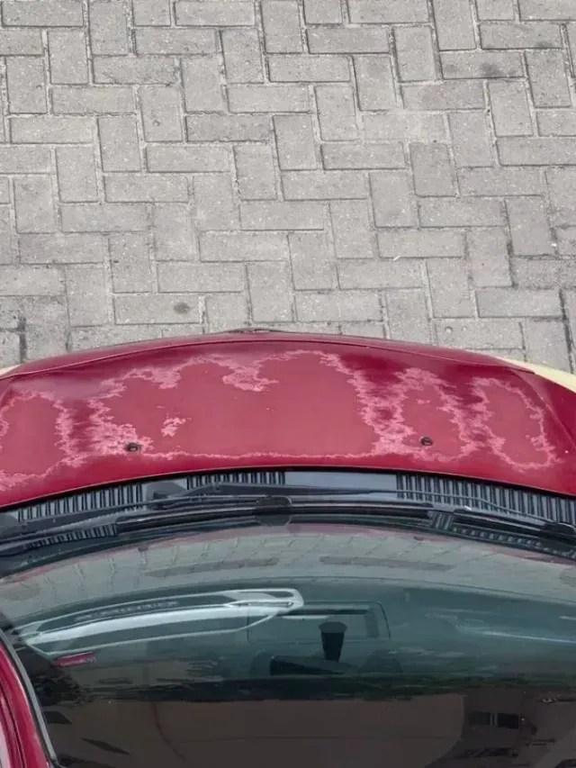 Pintura do carro queimada: saiba como prevenir e as causas