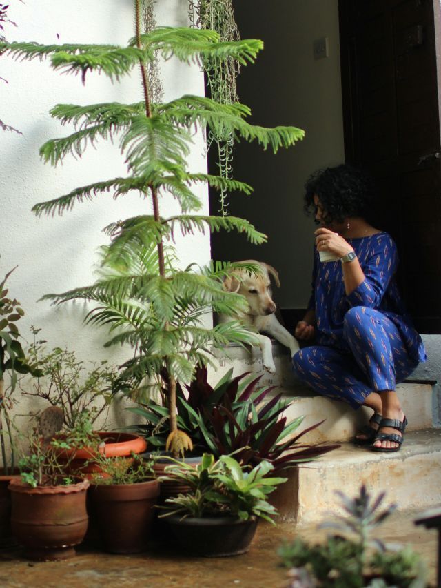 Feng Shui: 6 plantas para alinhar a energia da sua casa