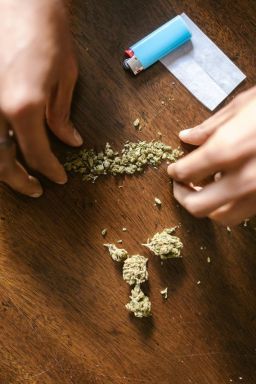 Estudo: usar maconha na adolescência predispõe a transtornos mentais