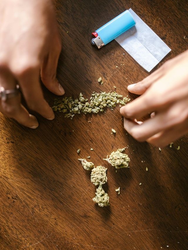 Estudo: usar maconha na adolescência predispõe a transtornos mentais