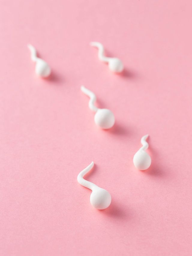 Além da fertilidade: espermograma pode sinalizar riscos à saúde