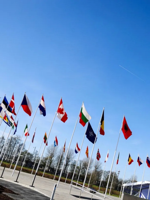 Entenda o que é a Otan e quais países integram a aliança