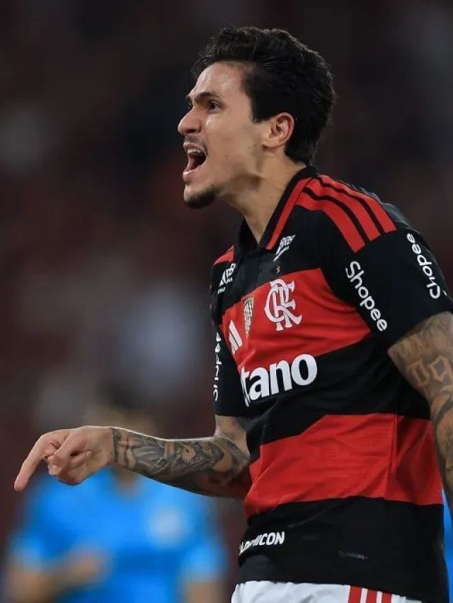 cropped-pedro-gol-flamengo.jpg