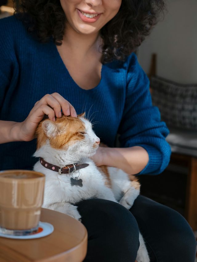 Pets fazem tão bem quanto amigos e família, aponta estudo