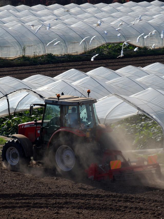 Agricultura de baixo carbono ganha espaço no Brasil