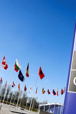 Entenda o que é a Otan e quais países integram a aliança