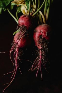 Veja por que vale a pena incluir farinha de beterraba na alimentação