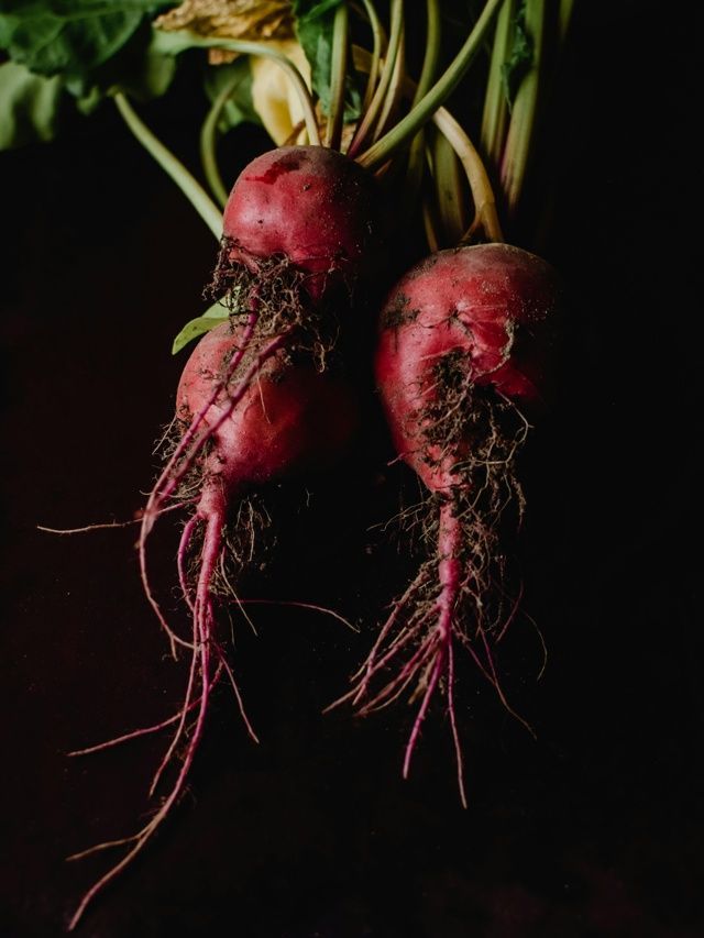 Veja por que vale a pena incluir farinha de beterraba na alimentação