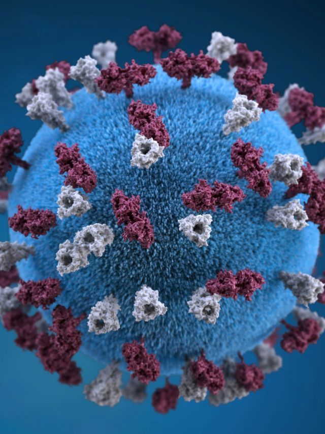 Hantavírus: diferenças entre surto, endemia, epidemia e pandemia