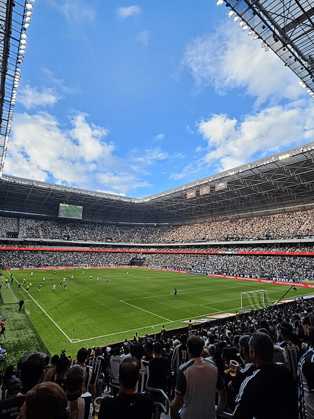Atlético-MG lança categoria de sócio-torcedor em parceria com Instituto Galo