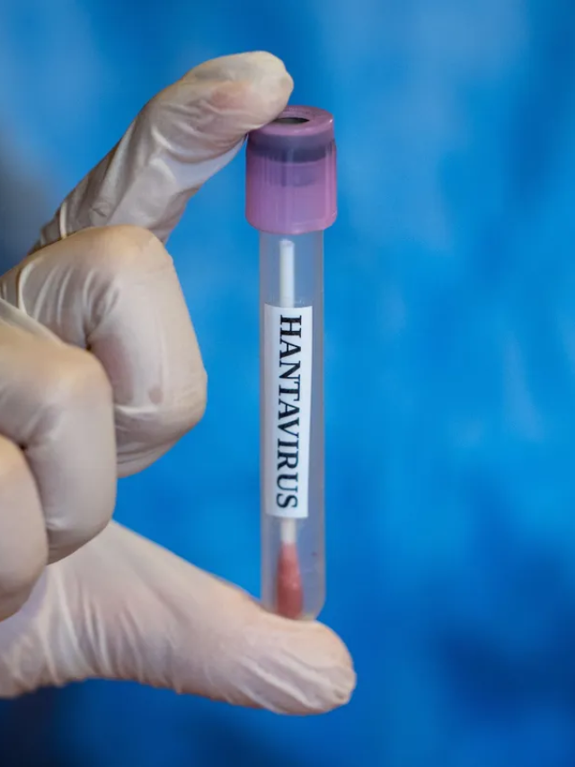 Rota de cruzeiro e cronologia da crise sanitária do hantavírus