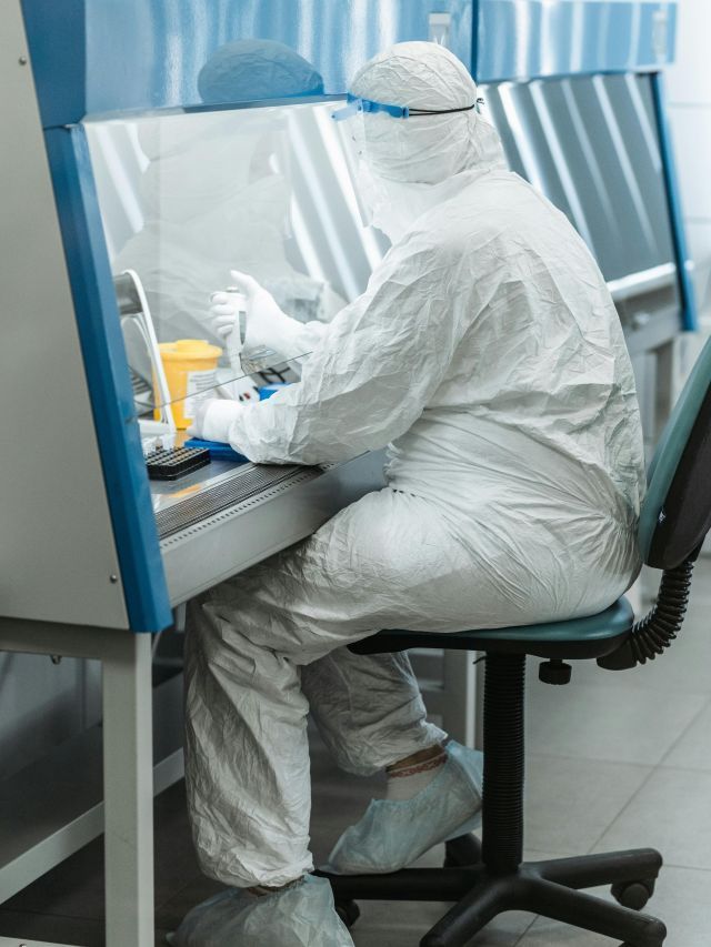 Ebola: o que é, sintomas e tratamento