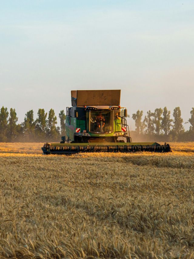 Agro brasileiro usa defensivos demais? Clima e escala explicam