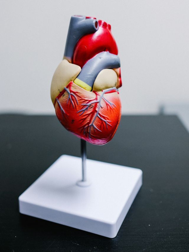 Estudo revela 4 fatores por trás dos casos de infarto