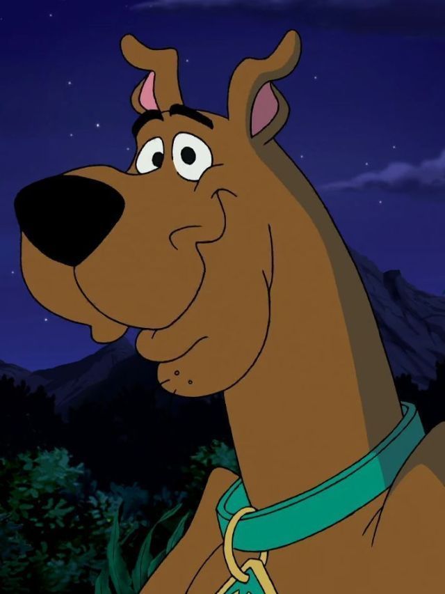 Scooby Doo na vida real: conheça a raça do cão icônico